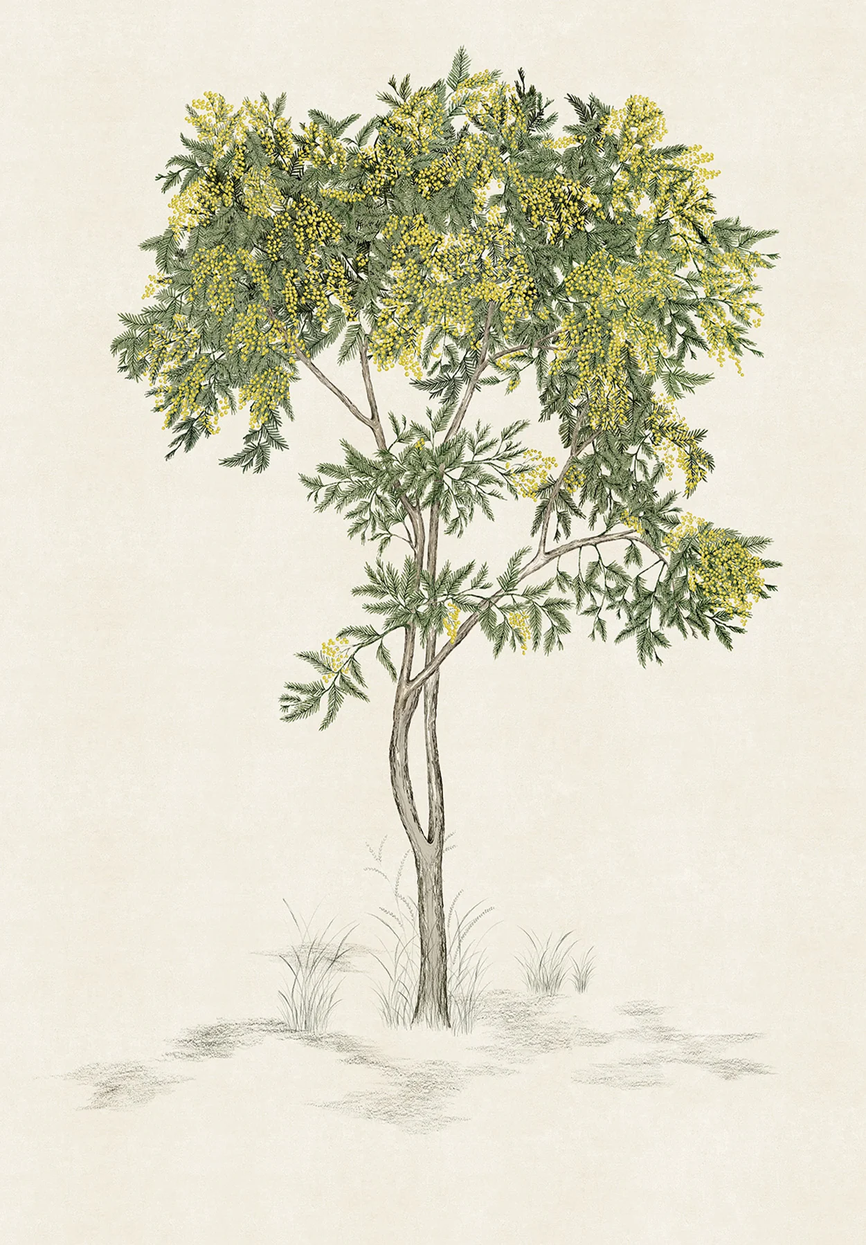 Miniature 6