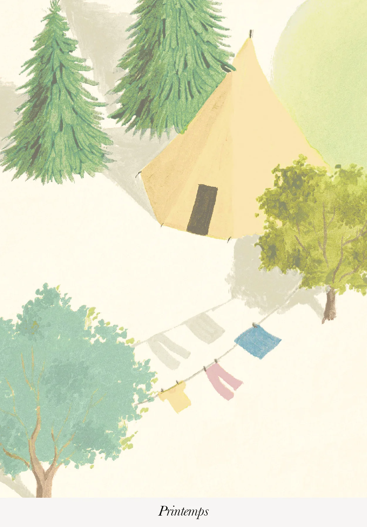 Miniature 5
