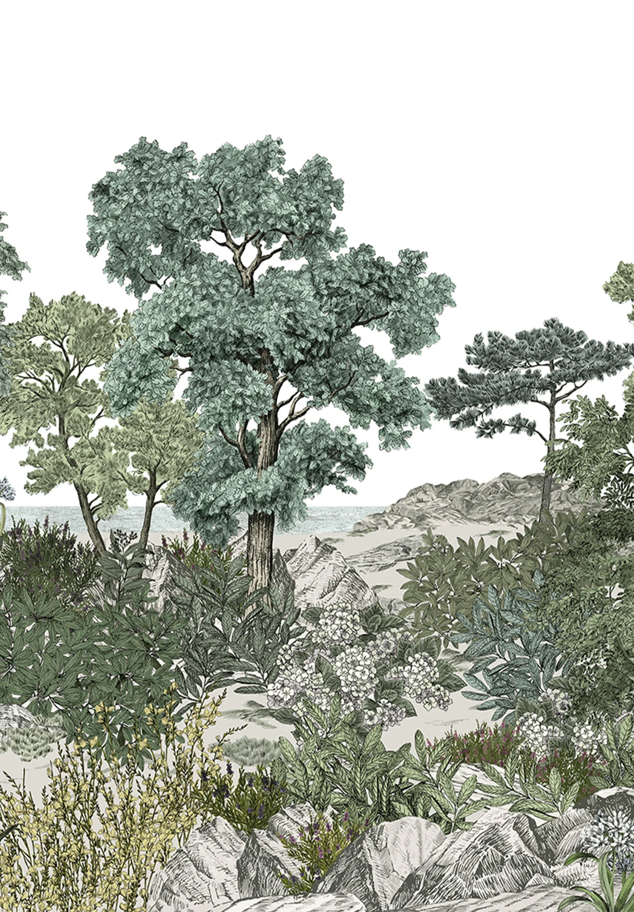 Miniature 2