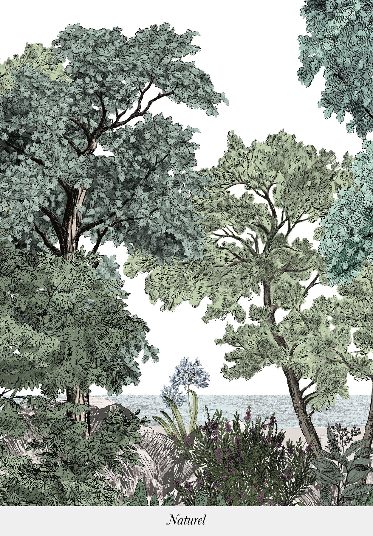 Miniature 5