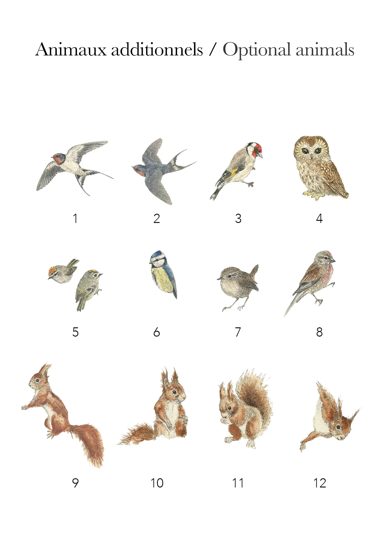 Miniature 5