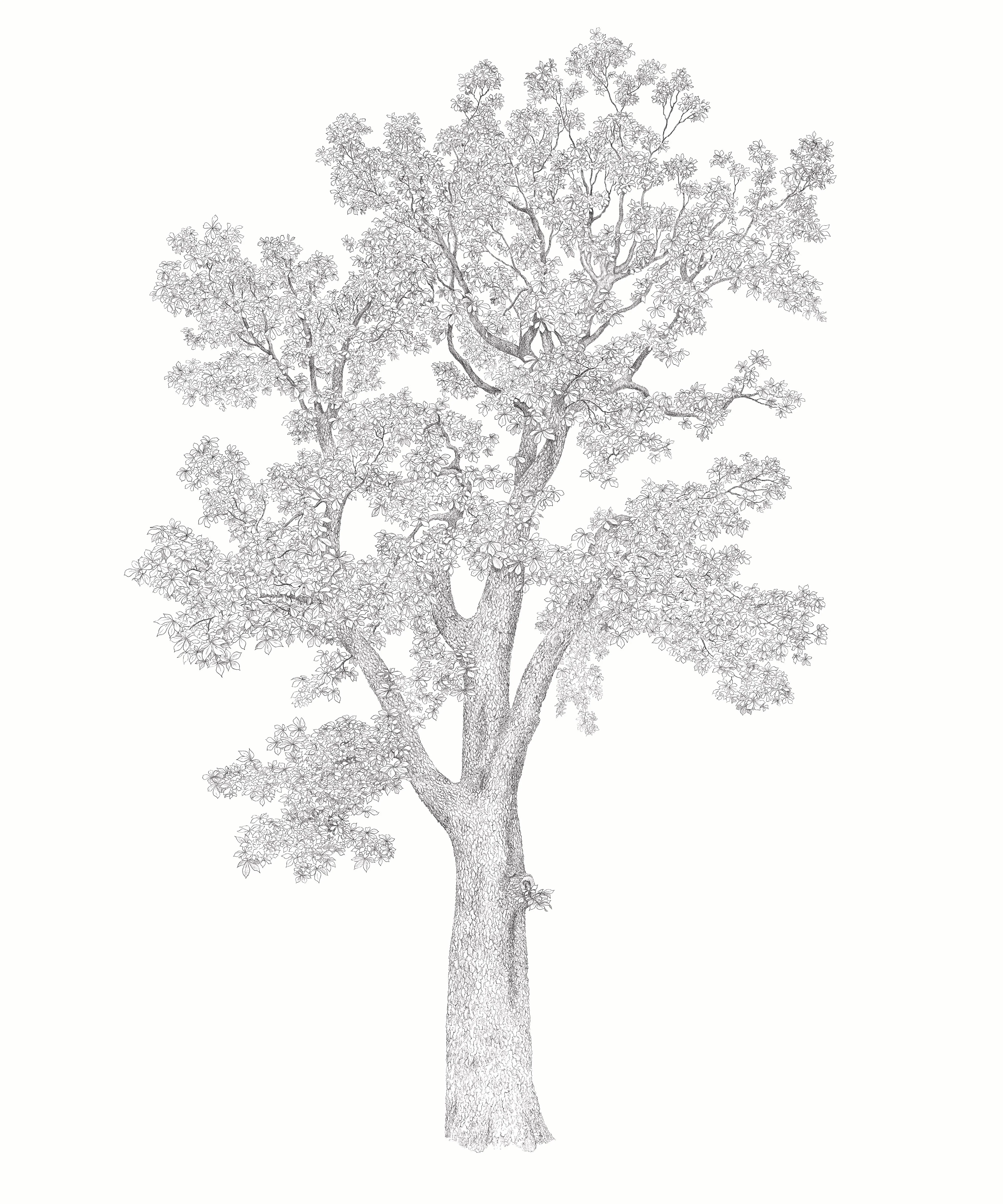 Miniature 6