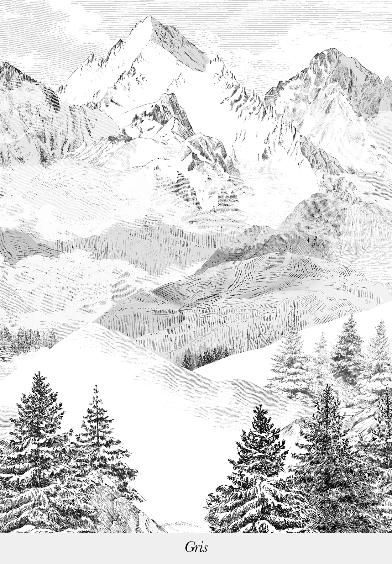 Miniature 5
