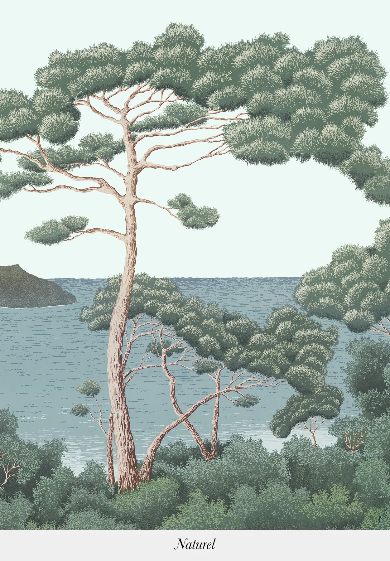 Miniature 5