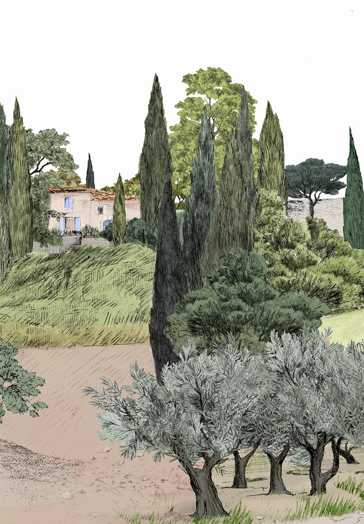 Miniature 6