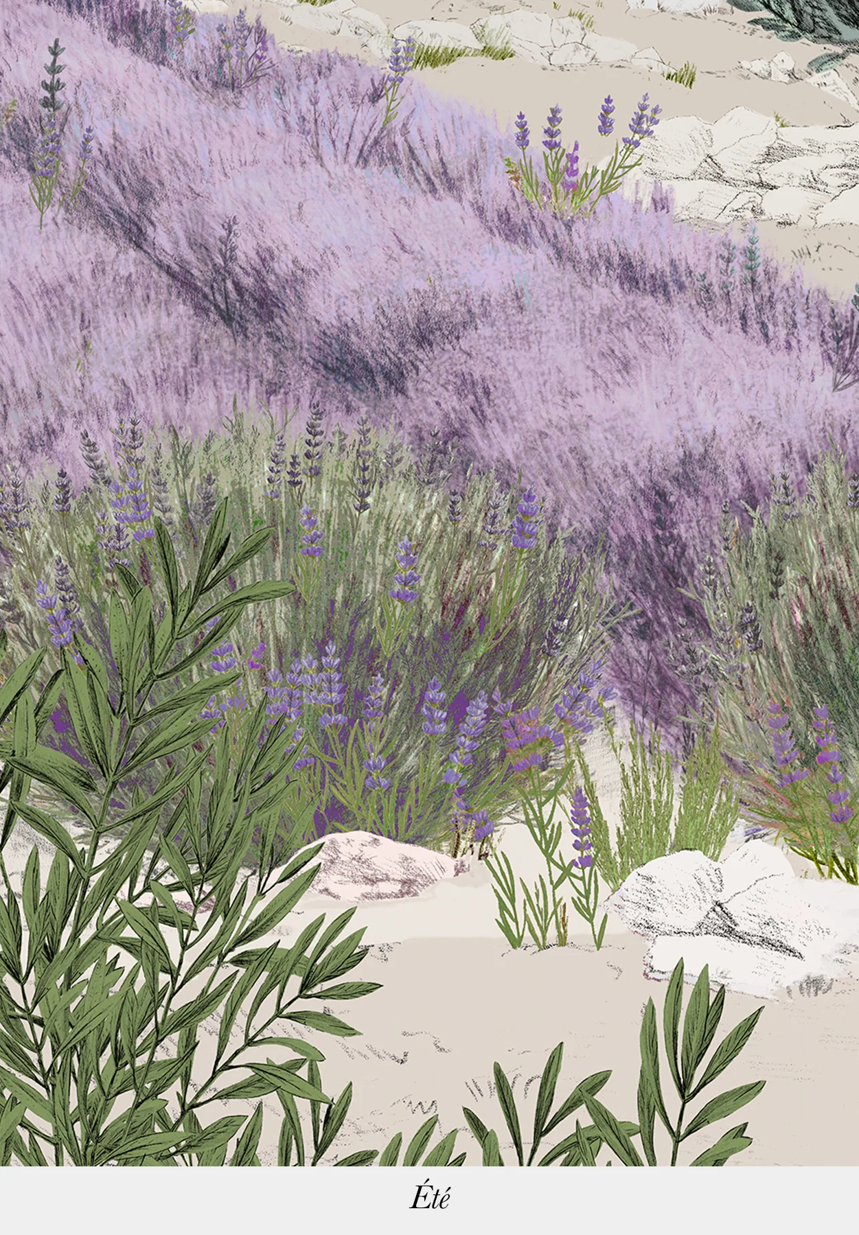 Miniature 8