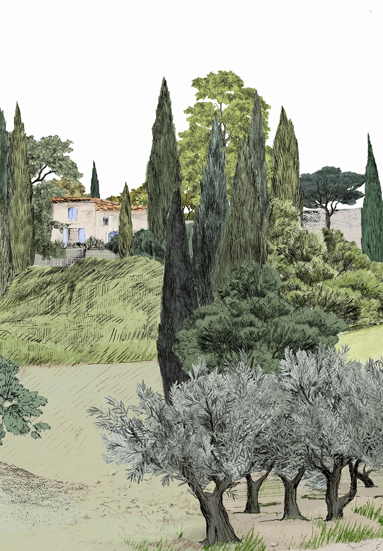 Miniature 6