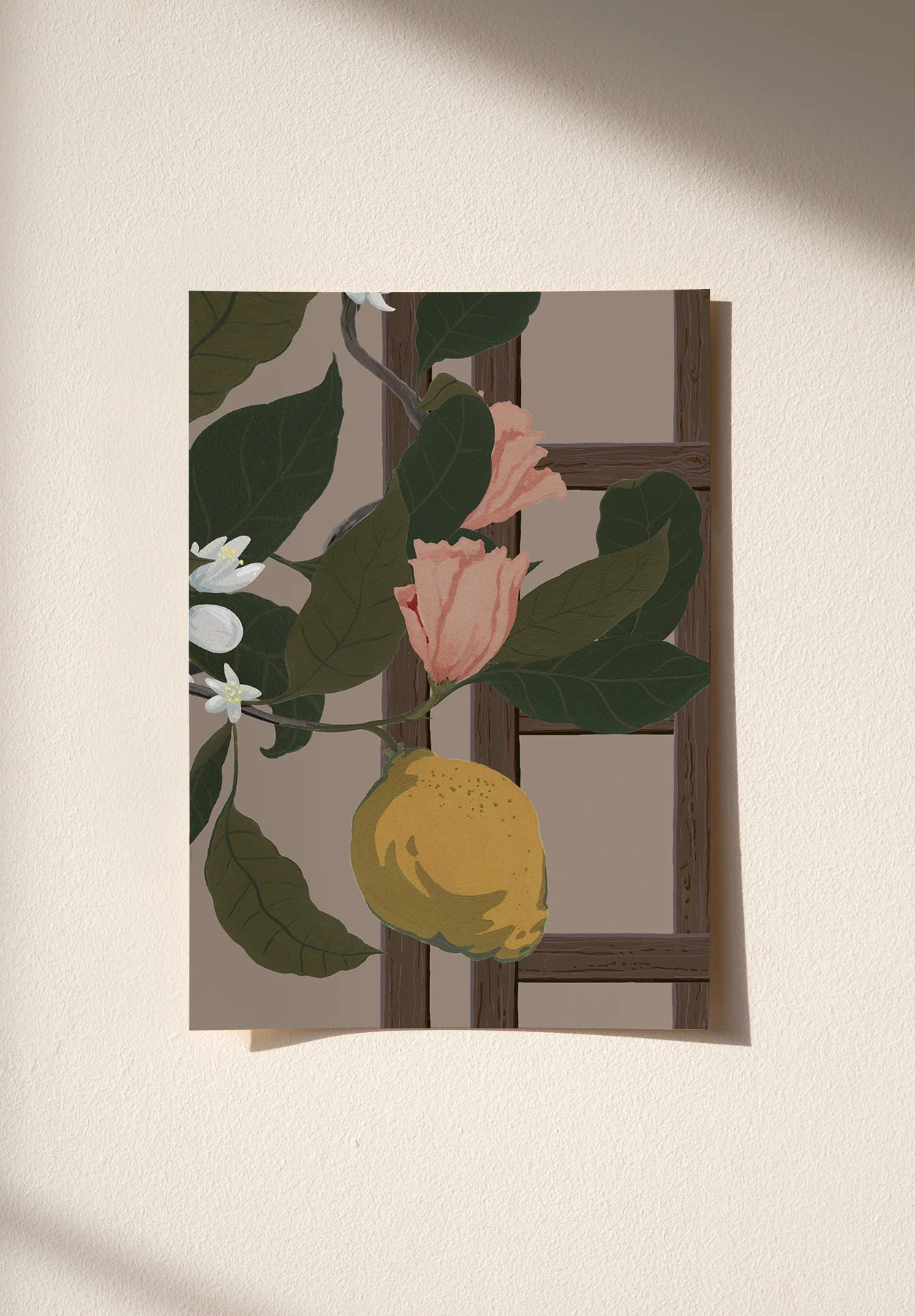 Miniature 5